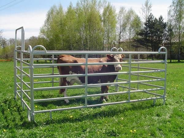 Farm And Ranch Equipment Cattle Corral Panels Pig Steel Fence Horse Panel Pens North U S Market