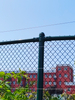 Easy Install Pvc Coated Galvanized Strong Wire Mesh Chain Link Fence for Tennis Court