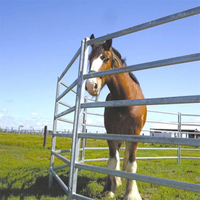 Farm And Ranch Equipment Cattle Corral Panels Pig Steel Fence Horse Panel Pens North U S Market