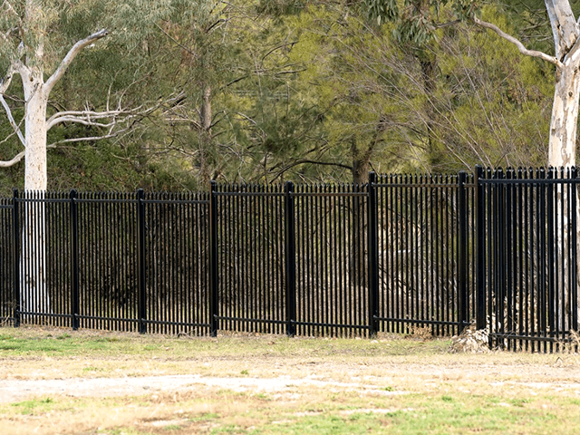 New Design Wrought Iron Fence Panel Steel Metal Ornamental Fence