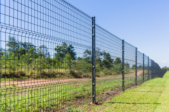 Germany Market Double Bar High Strength Quality Wire Mesh Fence 