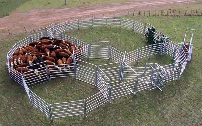 Farm And Ranch Equipment Cattle Corral Panels Pig Steel Fence Horse Panel Pens North U S Market