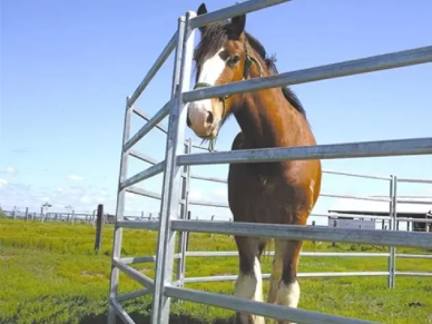 How To Build A Ranch Fence