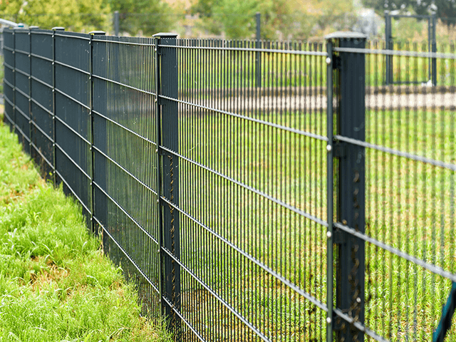 2D fence Twin wire fence welded Wire Mesh 868 656 Powder Coated Privacy Double Wire Fencing for Garden